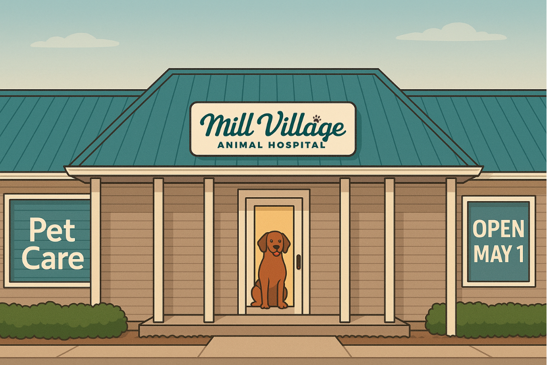 Mill Village (2) 2